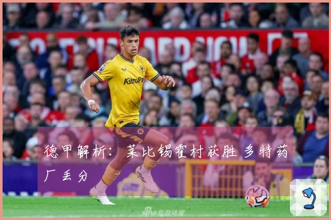 德甲解析：莱比锡霍村获胜 多特药厂丢分