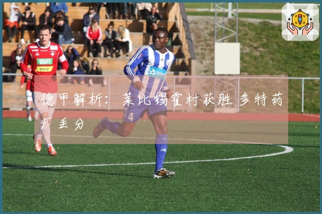 德甲解析：莱比锡霍村获胜 多特药厂丢分