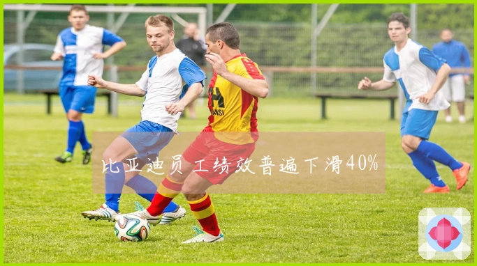 比亚迪员工绩效普遍下滑40%