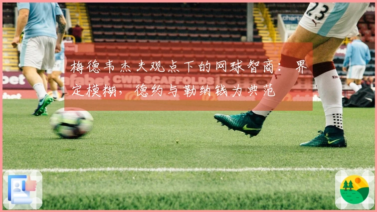 梅德韦杰夫观点下的网球智商：界定模糊，德约与勒纳钱为典范