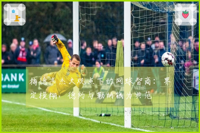 梅德韦杰夫观点下的网球智商：界定模糊，德约与勒纳钱为典范